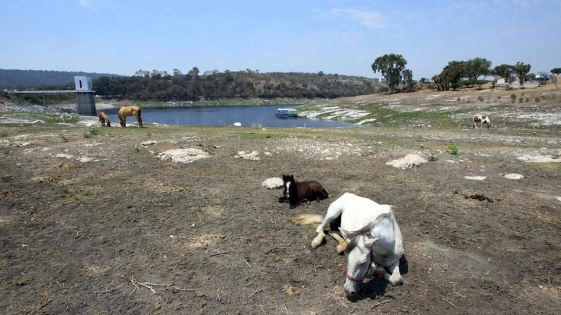 La presa Manuel Ávila Camacho, conocida como Valsequillo, se encuentra en su nivel más bajo de la última década